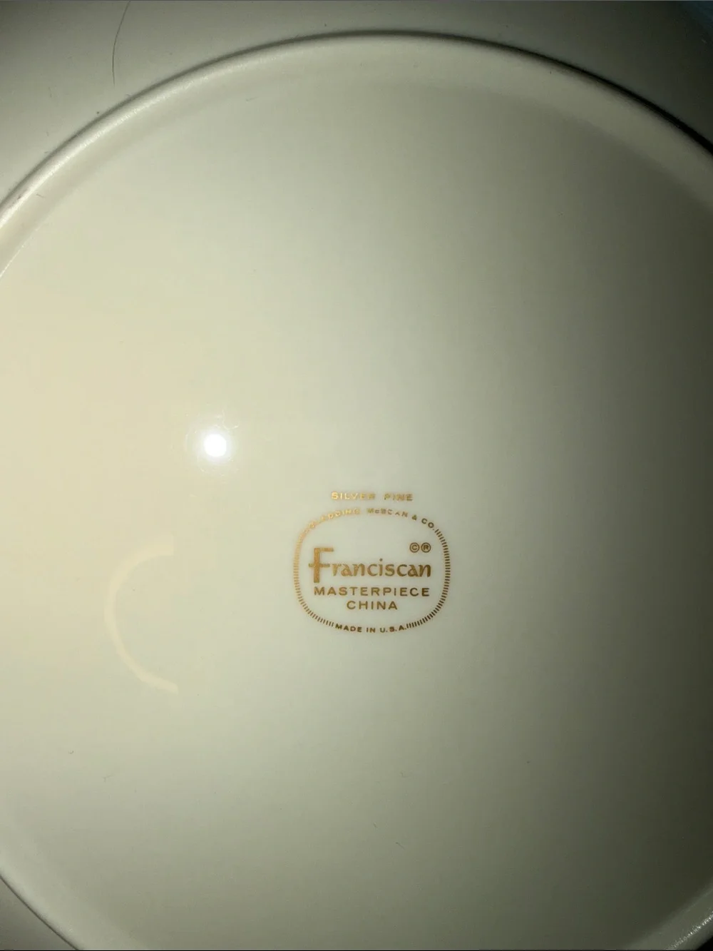 Light Blue Retro Atomic Dinner Plate Set with Silver Trim Silver Pine
